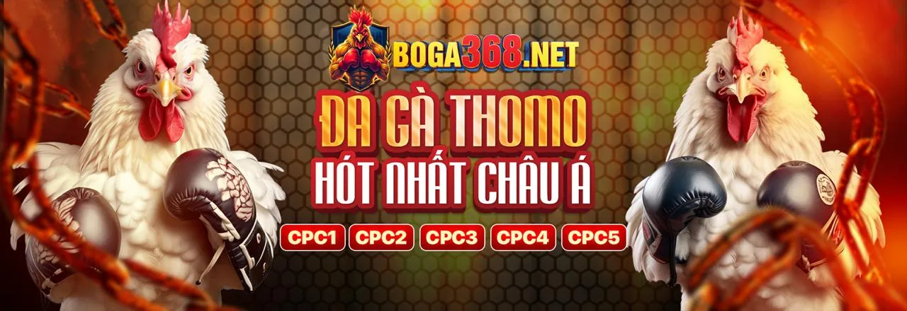 Đá gà trực tuyến ezbet win hấp dẫn